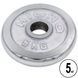 Блины (диски) хромированные GA-1450-5P 52мм 5кг GA-1450-5P фото 1