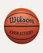 Баскетбольный мяч Wilson Evolution размер 7 WTB0516 (оригинал) WTB0516 фото 1